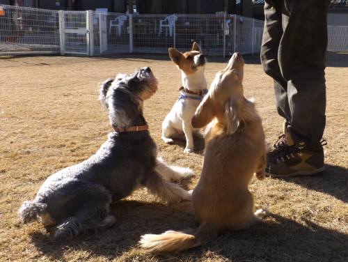 2015_01031-2新三匹