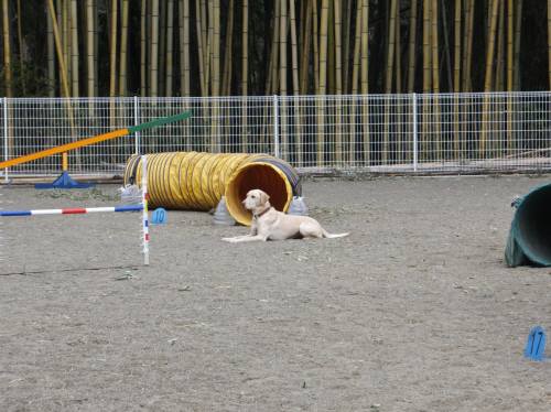 2015_01061-6なっつ