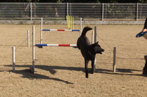 2015_01051-4さくら