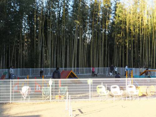 2015_01181-17アジ教室