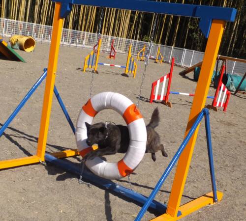 2015_02212-19さくら