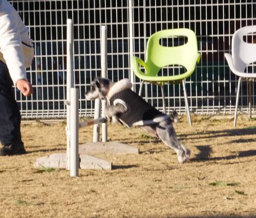 2015_02012-1モグジャンプ