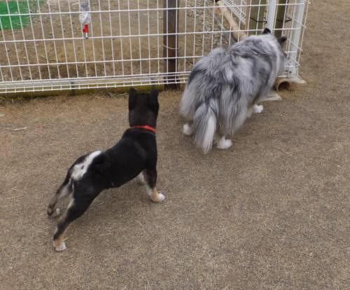 2015_02232-21晴アイル１