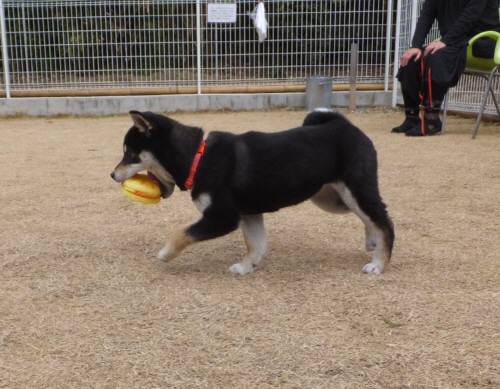 2015_02232-21晴ちゃん