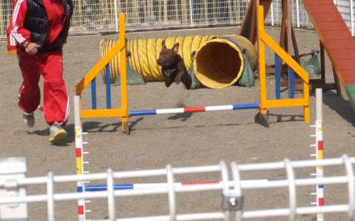 2015_02222-20サラジャンプ