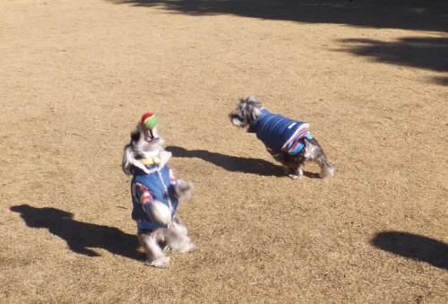 2015_02012-1メイ１