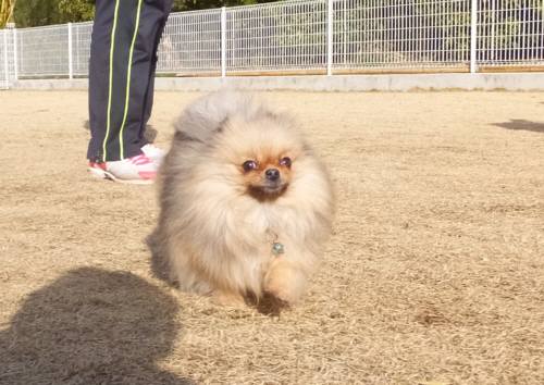 2015_02072-6みらい