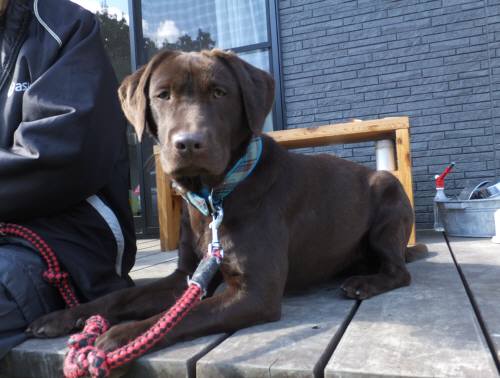 2015_02092-8ララ２