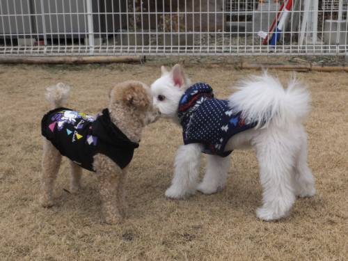 2015_02082-7りっつこうすけ