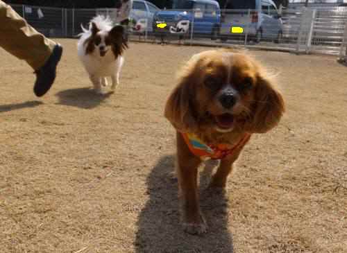 2015_02222-20ベルリン