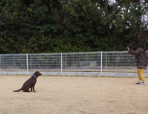 2015_02202-18ララまて