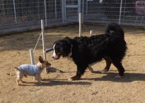 2015_02282-27しんじなごみ