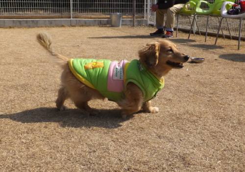 2015_02222-20ライム