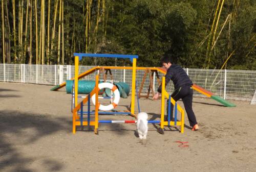 2015_02072-6アムアジ