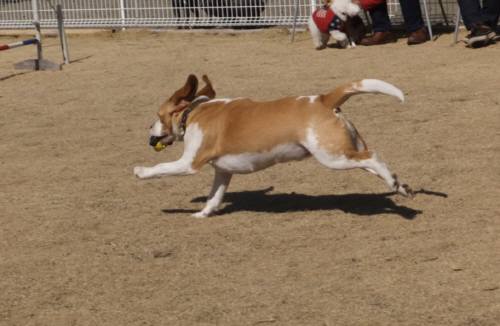 2015_02212-19ムサシ