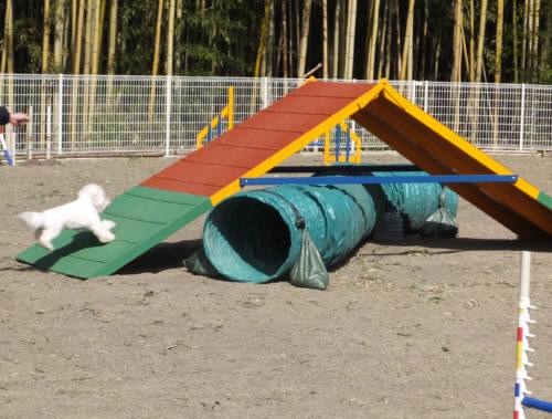 2015_02282-27アムル