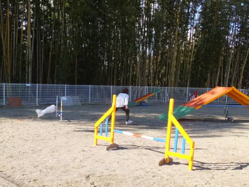 2015_02012-1アムママ