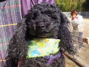 2015_02072-6ロジャ