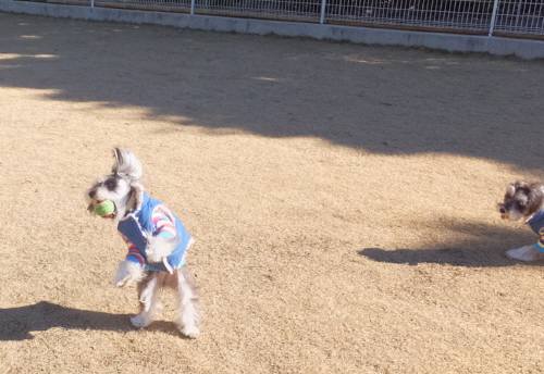 2015_02012-1メイ２