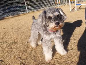 2015_02062-5まーや