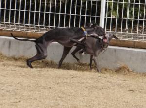 2015_02282-27モネマーブル