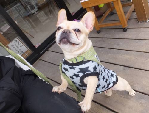 2015_02172-16サキちゃん