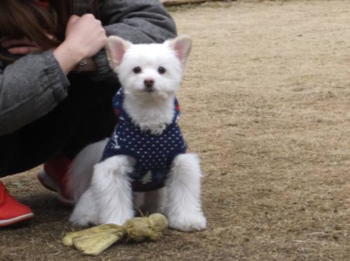 2015_02082-7こうすけ