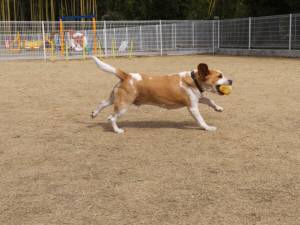 2015_02282-27ムサシ