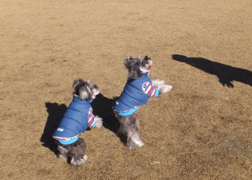 2015_02012-1メイシェリー