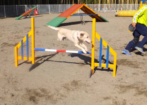 2015_02042-4なっつ