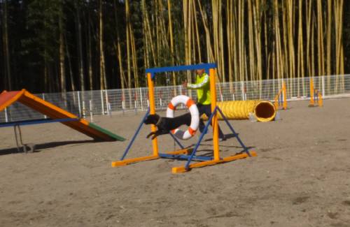 2015_02042-4はるちゃん