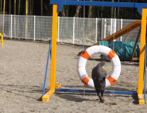 2015_02072-6さくらタイヤ