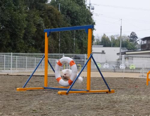 2015_02082-7アムタイヤ