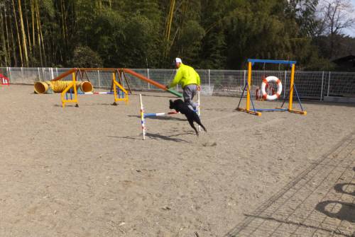 2015_02232-21ハルちゃん