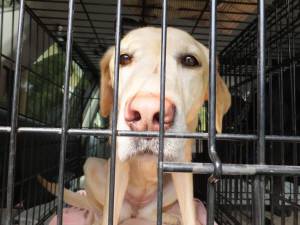 2015_02172-16なっつ