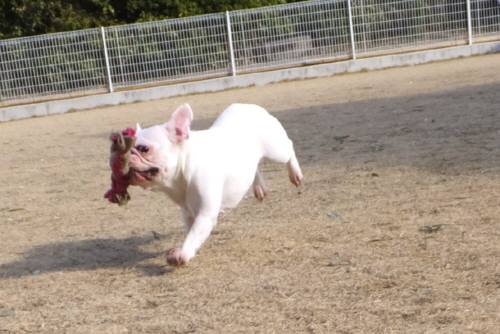 2015_02042-4チェル２