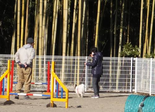 2015_02102-9リンしつけ