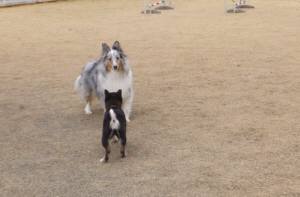 2015_02232-21晴アイル４