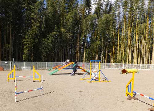 2015_02102-9アイルA