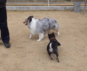 2015_02232-21晴アイル３