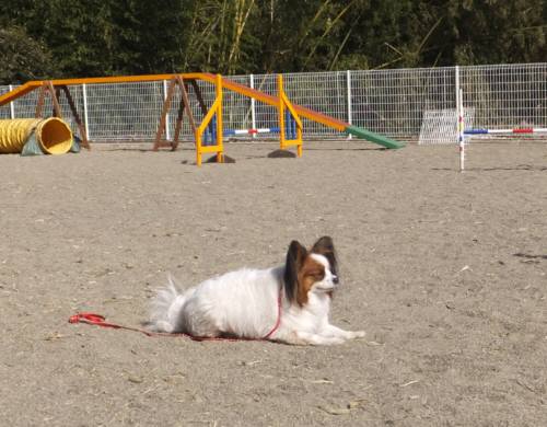 2015_02252-23りんふせ