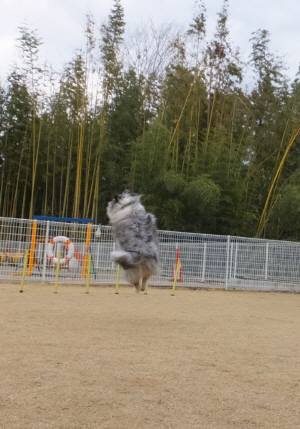 2015_02232-21アイル