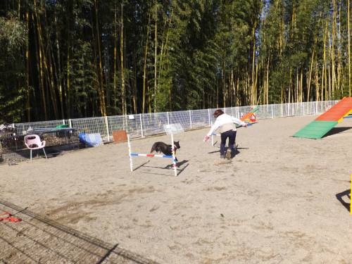 2015_02062-5さくら２