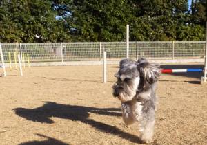 2015_02062-5メーテル