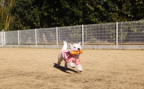 2015_02022-2モモ２