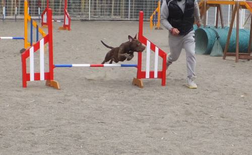 2015_02172-16サラジャンプ