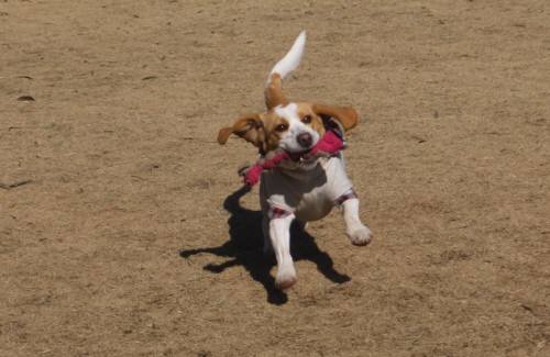 2015_02012-1ムサシ