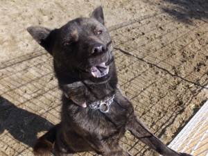 2015_02062-5さくら１