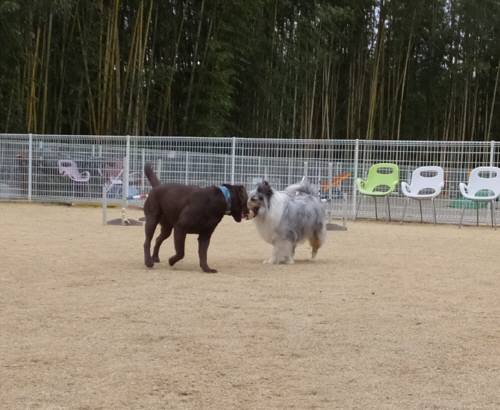 2015_02232-21ララアイル