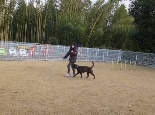 2015_03103-10ララ脚側